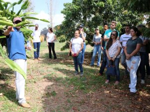 UFLA faz Extensão reuniu mais de 900 pessoas 