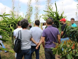 UFLA faz Extensão reuniu mais de 900 pessoas 