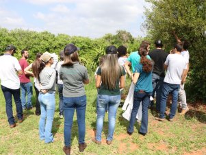 UFLA faz Extensão reuniu mais de 900 pessoas 