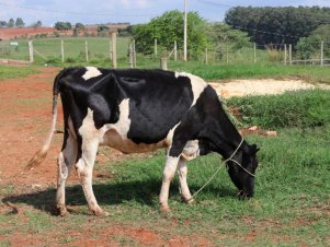 UFLA faz Extensão reuniu mais de 900 pessoas 