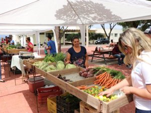 Feira agroecológica na UFLA recebe estudantes de Escola Estadual de Lavras