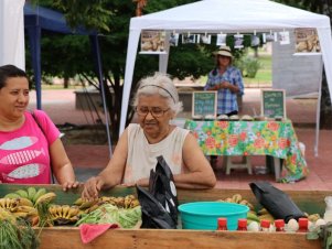 Feira agroecológica na UFLA recebe estudantes de Escola Estadual de Lavras