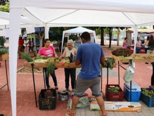 Feira agroecológica na UFLA recebe estudantes de Escola Estadual de Lavras