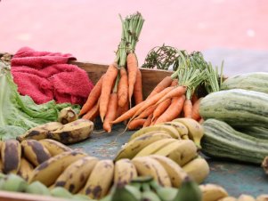 Feira agroecológica na UFLA recebe estudantes de Escola Estadual de Lavras