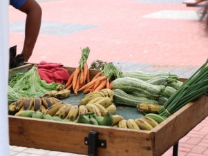 Feira agroecológica na UFLA recebe estudantes de Escola Estadual de Lavras