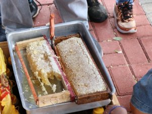 Feira agroecológica na UFLA recebe estudantes de Escola Estadual de Lavras