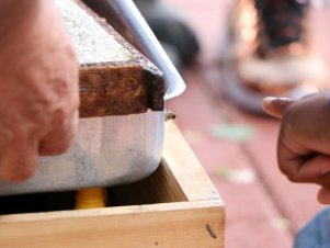 Feira agroecológica na UFLA recebe estudantes de Escola Estadual de Lavras