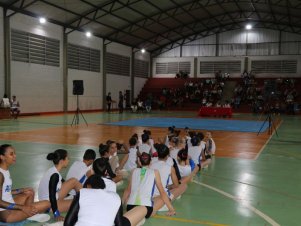 Copa Mineira de Ginástica