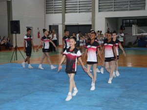 Copa Mineira de Ginástica