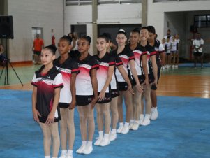 Copa Mineira de Ginástica