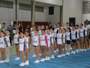 Copa Mineira de Ginástica