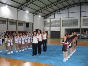 Copa Mineira de Ginástica