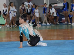 Copa Mineira de Ginástica