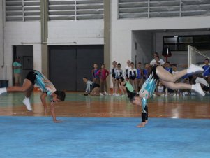 Copa Mineira de Ginástica