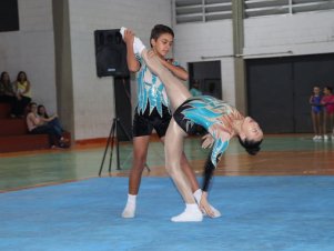 Copa Mineira de Ginástica