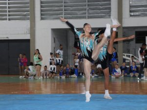 Copa Mineira de Ginástica