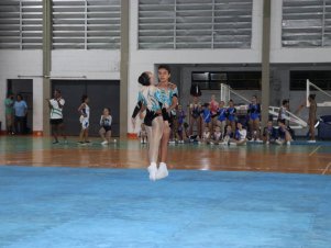 Copa Mineira de Ginástica