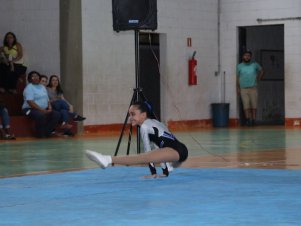 Copa Mineira de Ginástica