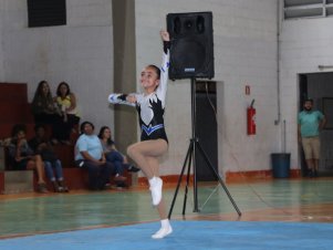 Copa Mineira de Ginástica