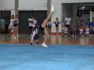 Copa Mineira de Ginástica