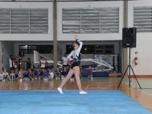 Copa Mineira de Ginástica