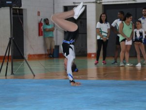 Copa Mineira de Ginástica