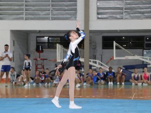 Copa Mineira de Ginástica