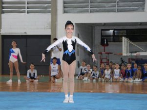 Copa Mineira de Ginástica