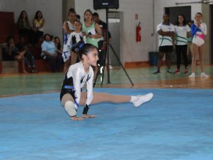 Copa Mineira de Ginástica