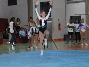 Copa Mineira de Ginástica