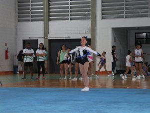 Copa Mineira de Ginástica