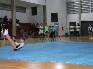 Copa Mineira de Ginástica