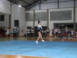 Copa Mineira de Ginástica