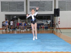 Copa Mineira de Ginástica