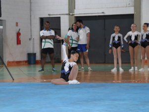 Copa Mineira de Ginástica