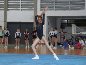 Copa Mineira de Ginástica