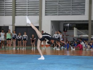 Copa Mineira de Ginástica