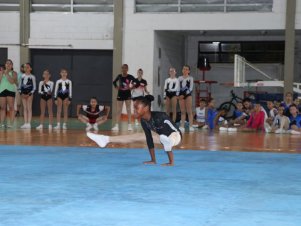 Copa Mineira de Ginástica