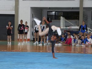 Copa Mineira de Ginástica