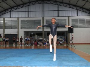 Copa Mineira de Ginástica