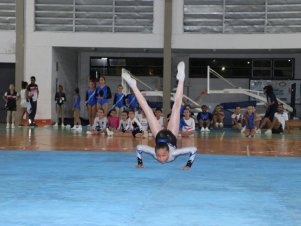 Copa Mineira de Ginástica