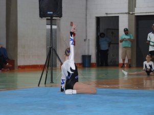 Copa Mineira de Ginástica