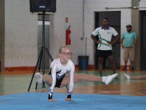 Copa Mineira de Ginástica