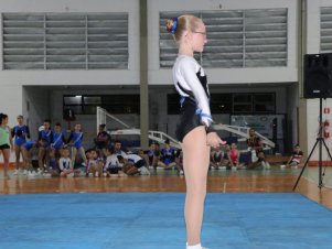 Copa Mineira de Ginástica