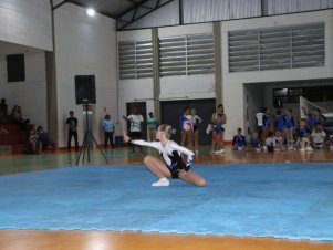 Copa Mineira de Ginástica