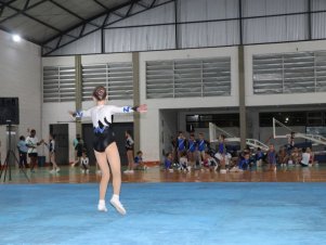 Copa Mineira de Ginástica