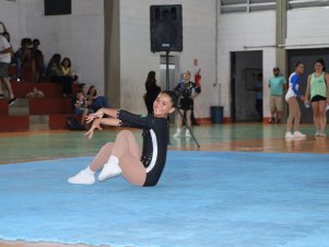 Copa Mineira de Ginástica