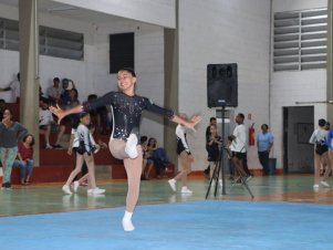 Copa Mineira de Ginástica