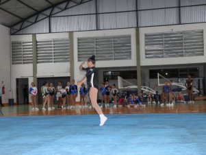 Copa Mineira de Ginástica