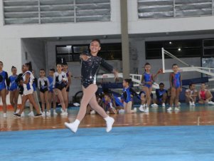 Copa Mineira de Ginástica